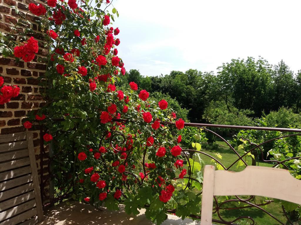 B&B De Kersentuin Borgloon Esterno foto